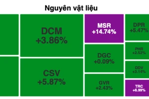 Dòng tiền chuyển hướng, cổ phiếu nguyên vật liệu bứt phá