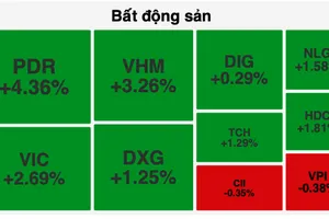 VN-Index lập đỉnh mới