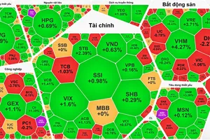 VN-Index lập đỉnh lịch sử sau thông tin Nâng hạng thị trường