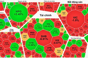 VN-Index giảm hơn 13 điểm