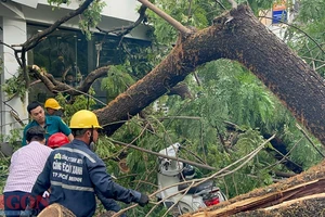 Lực lượng chức năng tại hiện trường. Ảnh: CHÍ THẠCH