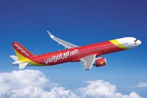 Nhiều chuyến bay bị chậm, hủy do máy bay va phải chim trời