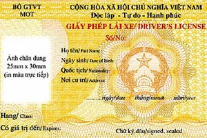 Thí điểm dịch vụ cấp, đổi GPLX qua mạng trong 6 tháng