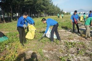 Hoạt động thanh niên làm sạch biển, bảo vệ môi trường tại Đà Nẵng