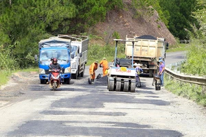 Sẽ đấu thầu qua mạng toàn bộ các gói thầu sử dụng nguồn vốn trong nước do Bộ GTVT quản lý