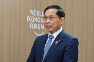Phó Thủ tướng, Bộ trưởng Ngoại giao Bùi Thanh Sơn