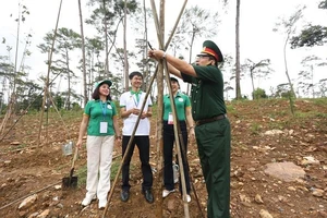 Thực hiện di chúc lời Bác dạy, Khu di tích K9 trồng hàng trăm cây Chò