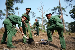  Phủ xanh 2.000 cây Thông Mã Vĩ trên đồi cây “Dâng Bác – Ơn Thầy”