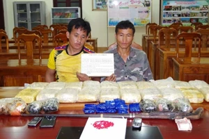 Triệt phá 2 chuyên án ma túy, thu 10 bánh heroin và 6kg thuốc phiện