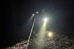 Hà Nội: Giải cứu 5 người đi lạc trên núi Hàm Lợn