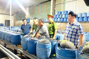 Phát hiện 2 cơ sở dùng hóa chất độc hại sản xuất hàng trăm tấn giá đỗ