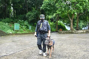 Huy động phương tiện, chó nghiệp vụ tìm du khách mất tích trong rừng Cúc Phương