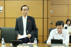 Cần có chiến lược đưa hàng Việt Nam ra nước ngoài qua thương mại điện tử