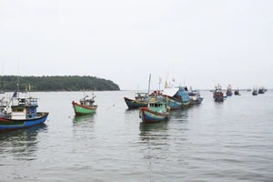 Tàu cá vào sông Nhật Lệ trú tránh bão