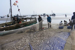 Ngư dân Thanh Hóa “mở cửa biển”, ra khơi đánh bắt đầu năm