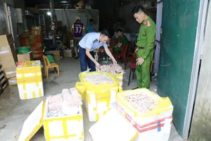 Cơ quan chức năng kiểm tra kho đông lạnh của Công ty TNHH thương mại thực phẩm Việt Đức. Ảnh: CÔNG AN NGHỆ AN