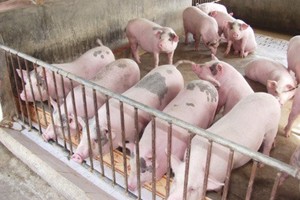 示意圖。（圖片來源：互聯網）