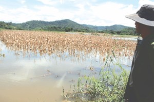 示意圖。（圖片來源：互聯網）