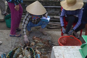 示意圖。（圖片來源：互聯網）