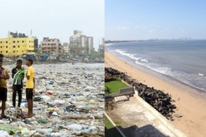 示意圖。（圖片來源：聯合國環境署）