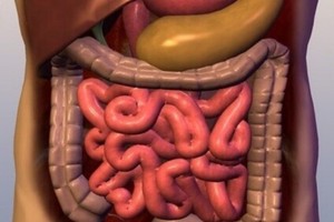 示意圖。（圖片來源：互聯網）