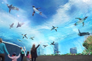 『讓企鵝飛上天空』展覽（圖片來源：互聯網）