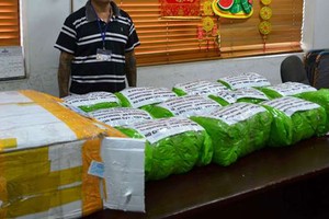 新山一機場海關沒收含有卡西酮與阿拉伯茶堿的172公斤乾草。（圖片來源：互聯網）