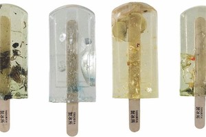 污水冰棍（圖片來源：互聯網）