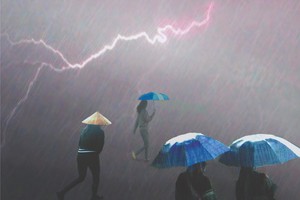 陳傑魯拍攝作品