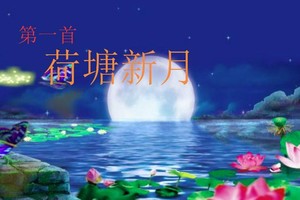 示意圖。（圖片來源：互聯網）