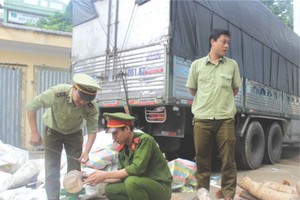 運載2.7噸象牙卡車被查獲。（圖片來源：互聯網）