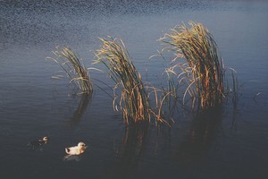 曾廣健拍攝作品