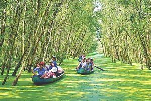示意圖。（圖片來源：互聯網）