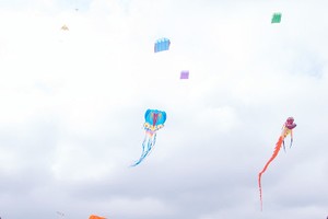 蓮潭公園風箏節將結束。（圖片來源：仁建）