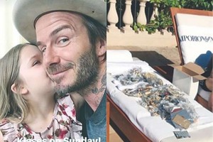 大衛‧貝克漢姆(David Beckham) &女兒（图源：互联网）