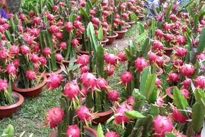 （示意圖源：互聯網）