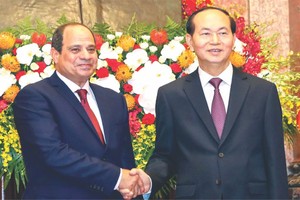 　　國家主席陳大光會見埃及總統 阿卜杜勒。