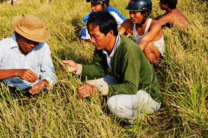 （圖源：互聯網。）