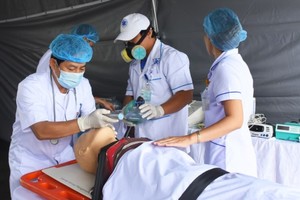 衛生部領導及峴港市各所醫院近1000名幹部、醫生參加。