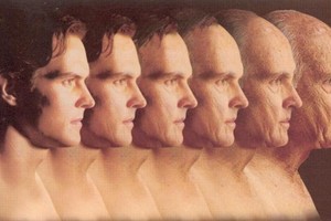 （圖源：互聯網。）