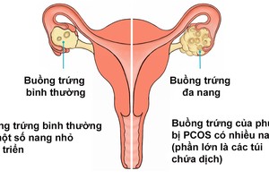 （圖源：互聯網。）