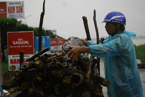 民眾在洪澇中撈起大量木材。