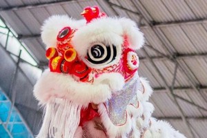 醒獅上梅花椿。