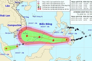 （圖源：互聯網）