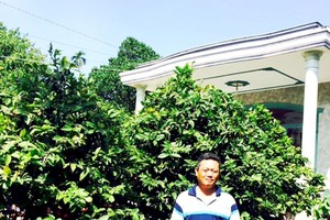 阮文越與他的梅花園。