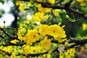 （示意圖源：互聯網）