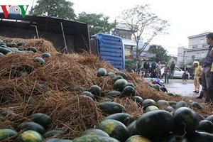 （圖源：互聯網）