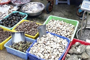 （圖源：互聯網）