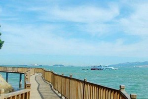 廈門環島路木棧道