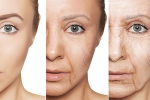 （圖源：互聯網）